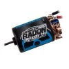 Team Associated Reedy Radon 2 Crawler 550 14T 5-Slot 1600Kv Motor -Associated Electrics Sales Shop ASC27464 A0 T0L1SXZY